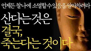 석가모니 명언 | 인생조언ㅣ수많은 죽음을 목격하면서 깨닫게 된 행복의 비밀 l 평온한 삶과 죽음을 받아들이는 방법 | 90세가 가까워지니 죽음의 불안이 찾아왔다 | 부처님말씀 지혜