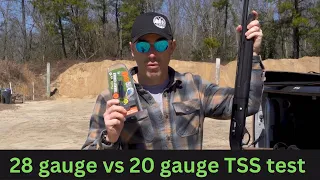 28 gauge vs 20 gauge TSS pattern test