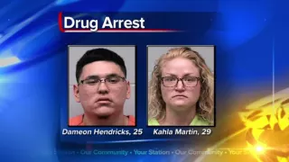 2 convicted felons arrested on drug charges