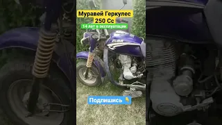 Муравей Геркулес 250 KV 250 Трицыкл 250 кубов  Китайский Трицикл 250 кубов от компании МоТТор