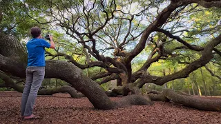 Photographing This Unbelievable Tree