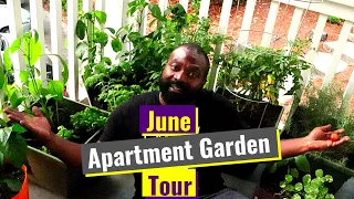 FULL June Garden Tour | Apartment