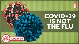 Covid-19 is NOT the Flu