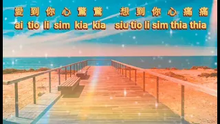 Ai Tiok Cia Cai Thia {愛到才知痛} lagu Hokkian versi vocal 黃乙玲 - Huang Yi Ling
