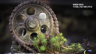 'The Beauty of Rust' | AF-S VR Micro NIKKOR 105mm f/2.8G IF-ED | Macro Lens Masterclass