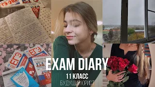 exam diary: будни в 11 классе, мои мысли, подготовка к ЕГЭ по рус, ист и общ, сдача ГТО на золото