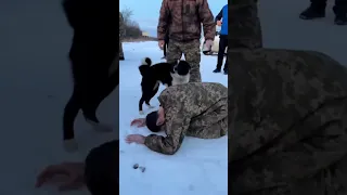 Перші хвилини після звільнення наших хлопців з російського полону #звільнення #полон #зсу