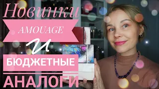 Новые АРОМАТЫ AMOUAGE в коллекции и их БЮДЖЕТНЫЕ КЛОНЫ💥💥💥МОЙ ПАРФЮМЕРНЫЙ ШКАФ