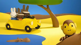 Miffy Goes On Safari | Miffy Explore the World | Animated show for kids