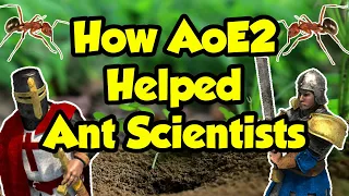 How AoE2 is helping scientists understand ants