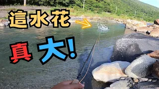 這大水花! 真的嚇到我! 水表就是視覺的享受(宜蘭釣魚、南澳、飛釣、飛蠅釣、Maxcatch APEX Trout Rod、AVID PRO Reel) #flyfishing #釣魚 #tips