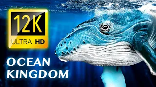 OCEAN KINGDOM 12K VIDEO ULTRA HD