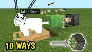 10 Ways To Torture A Sheep In Minecraft