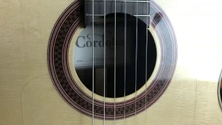 A Great Classical Guitar for Electric Players | Cordoba GK Studio Negra