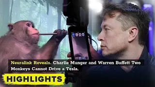 Jim Chanos, Warren Buffett, Michael Burry ALL Monkeys Fail Neuralink Test. Cover and Buy Tesla