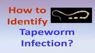 How to identify tapeworm infection