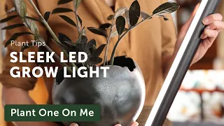 New Cool, LED Grow Light: PlantSpectrum — Ep. 260