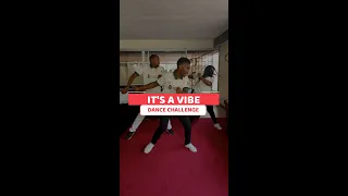 Issa Vibe Dance Challenge(TikTok)-Alic Dance Ministry