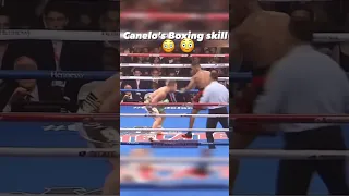 CANELO ALVAREZ BOXING SKILLS #boxingfight #viralshort #fitness #shortsfeed #goodvibes #boxingcombos