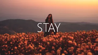 William Black & Trella - Stay (Lyrics)