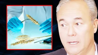 You Will Never Eat GRAINS Again After Watching This! | Dr. William Davis