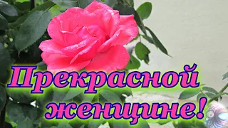 Цветы для тебя! Красивое пожелание и видео открытка в стихах!💐