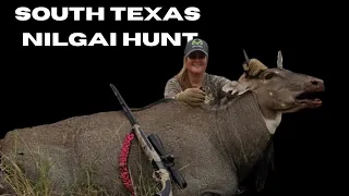 HUGE NILGAI BULL!! Bonnie McFerrin hunts Nilgai in STX