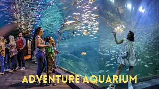 Adventure Aquarium|Camden NJ USA|Sharks Tunnel|Underwater Zoo |Malayali Travel Vlog|Family Side Trip