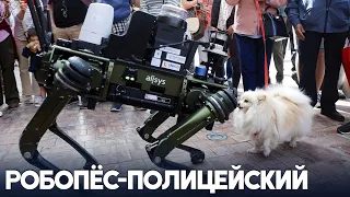 Полицейскую собаку-робота тестируют в Испании‌
