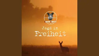 Jagd in Freiheit