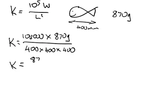 Calculating Fish Condition Factor