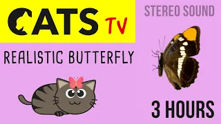 CATS TV - Catching Realistic Butterfly 🦋 HD - 3 HOURS (Video Game for Cat to watch)