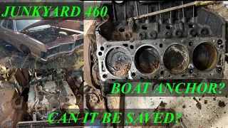 Junkyard Big Block. Can this forgotten Ford 460 be rebuilt?  #trending #bigblock #junkyard