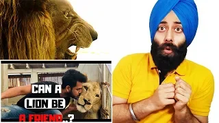 Indian Reaction on When Wild Animal Becomes Friend | VLog | Azlan Shah ft. PunjabiReel TV