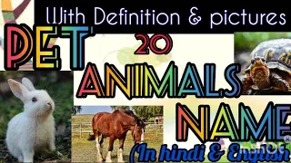 20 Pet Animals Names With picture and spelling.20 पालतू पशुओं के नाम हिंदी व English में चित्र सहित