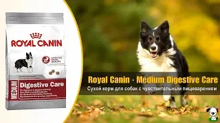 Сухой корм для собак с чувствительным пищеварением · Royal Canin Medium Digestive Care