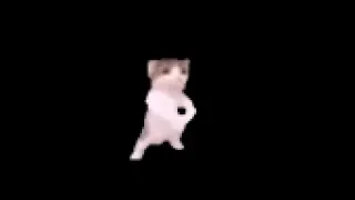 cat hitting the gangnam