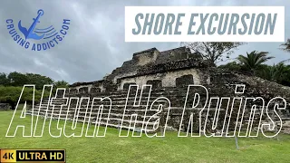 Cruise Shore Excursions - Belize Altun Ha Lost City of The Maya Shore Excursion from Viator