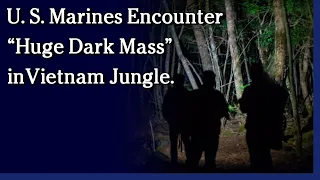 August 25, 2021 - U. S. Marines Encounter “Huge Dark Mass” in Vietnam Jungle.