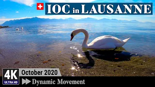 International Olympic Committee / Switzerland Lausanne 4K - 8 mins Virtual Walking Tour (EN/KR CC)