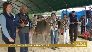 Colorina, in scena l'agricoltura