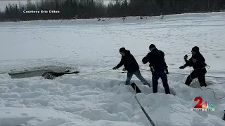 Moose falls through ice, rescued by neighbors on Chena River