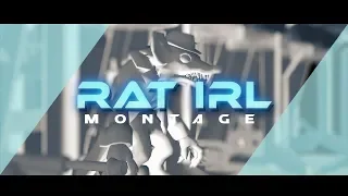 RAT IRL SEASON 9 MONTAGE