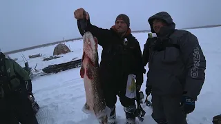 ТРОФЕЙНЫЕ ЩУКИ, ОКУНИ, СОРОГИ, НОВЫЕ РЫБАКИ и прочее в ЯКУТИИ на ПЕРВОМ ЛЬДУ!