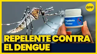 Dengue en Perú: Así puedes preparar repelentes naturales contra las picaduras
