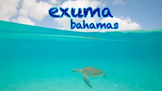 Exuma Bahamas is PARADISE #shorts