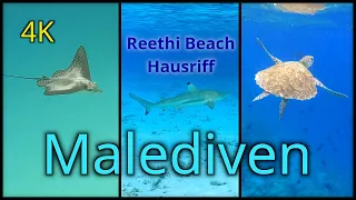 Abenteuer Schnorcheln - 4K - Reethi Beach Hausriff - Malediven