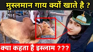 मुस्लमान गाय क्यों खाते है ? | Why Muslim Eat Beef In Hindi | Bright Gyan