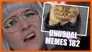 SOVIELE KATZEN! 😍 UNUSUAL MEMES COMPILATION V182 | Reaktion