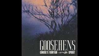 Goosehens - Concrete Fountain